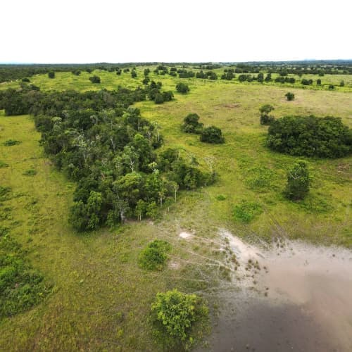 foto de uma paisagem mostrando a floresta de uma propriedade privada.